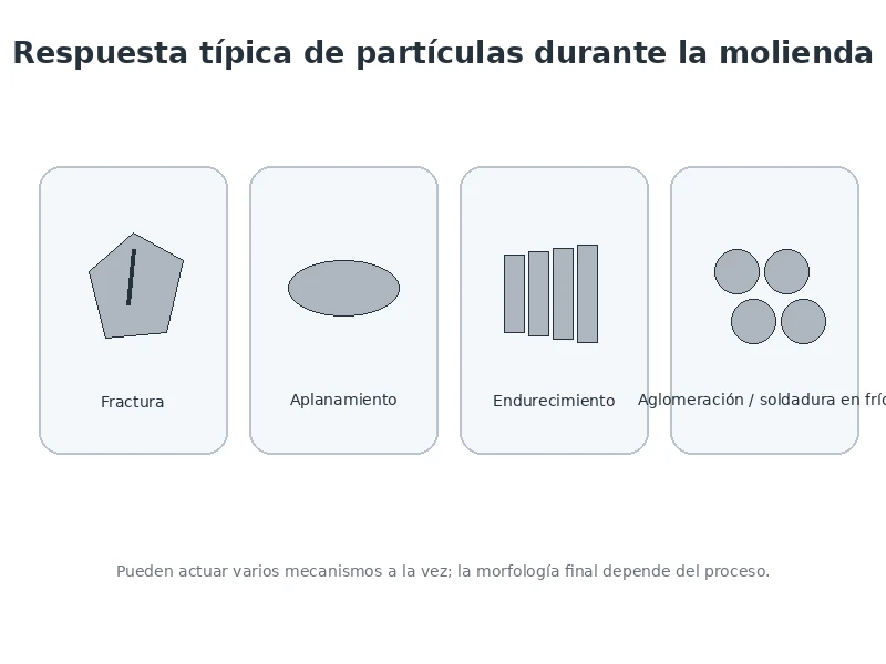 Respuestas típicas de partículas metálicas durante la molienda: fractura aplanamiento endurecimiento y aglomeración